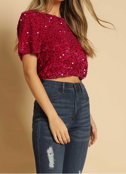 Sequin Short Sleeves Velvet Top